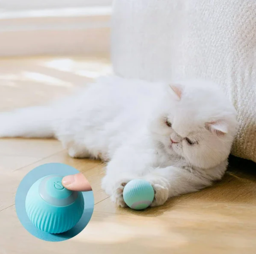 Automatic Smart Teasing Pet Ball, Smart Self Teasing Rolling Pet Ball